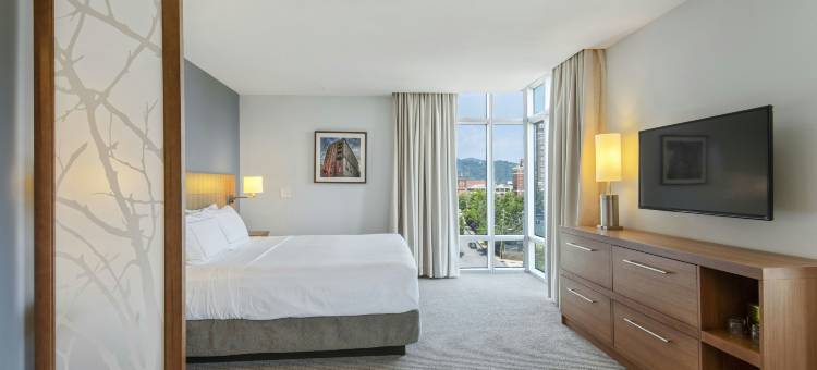 阿什维尔市中心希尔顿逸林酒店(DoubleTree by Hilton Asheville Downtown)图片