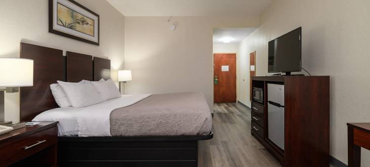 凯艺套房酒店(Quality Inn & Suites)图片