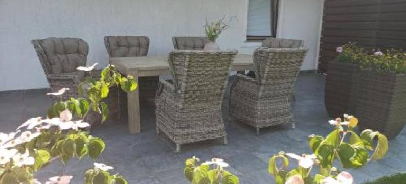 斯科克公寓(Apartments Skok)图片