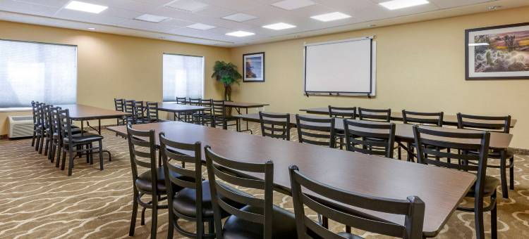 索科罗舒适套房酒店(Comfort Inn & Suites)图片