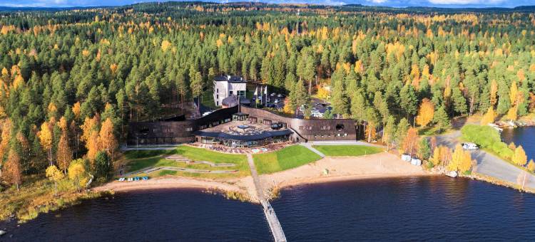 邦巴布瑞克索克斯酒店(Break Sokos Hotel Bomba)图片