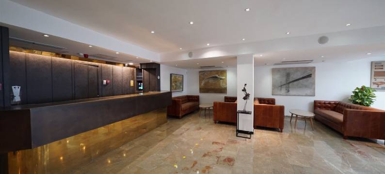 阿尔玛达姆斯酒店(Hotel Artmadams)图片