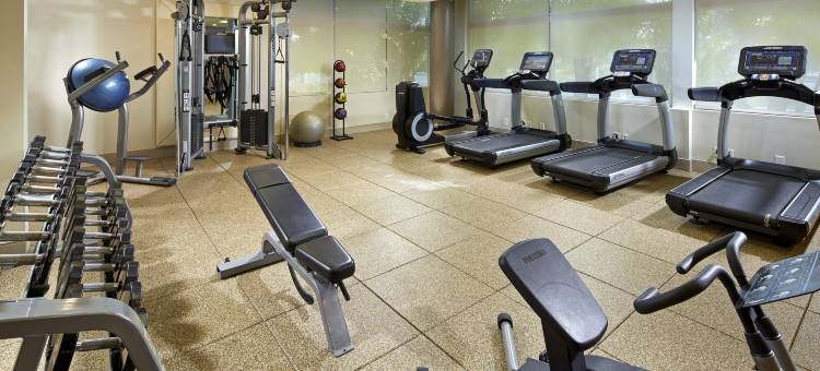 洛杉矶埃尔塞贡多希尔顿逸林酒店(DoubleTree by Hilton LAX - El Segundo)图片