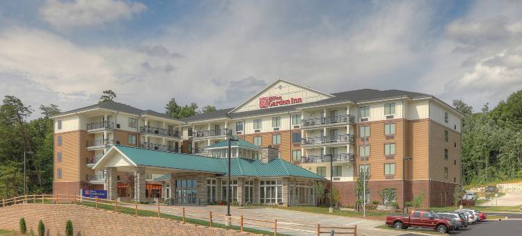 希尔顿花园酒店-鸽子谷(Hilton Garden Inn Pigeon Forge)图片