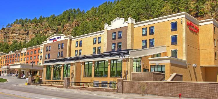 戴德伍德万豪SpringHill Suites 酒店(SpringHill Suites Deadwood)图片