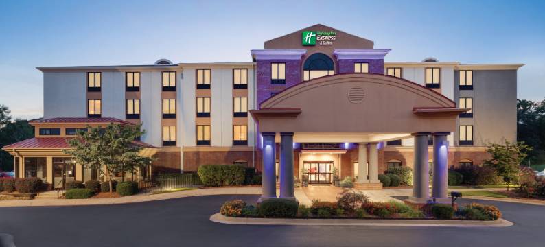 拉伏尼亚智选假日酒店(Holiday Inn Express & Suites LAVONIA by IHG)图片