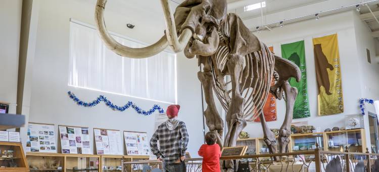 奥克赫斯特优胜美地智选假日套房酒店(Holiday Inn Express & Suites Oakhurst-Yosemite Park Area)图片