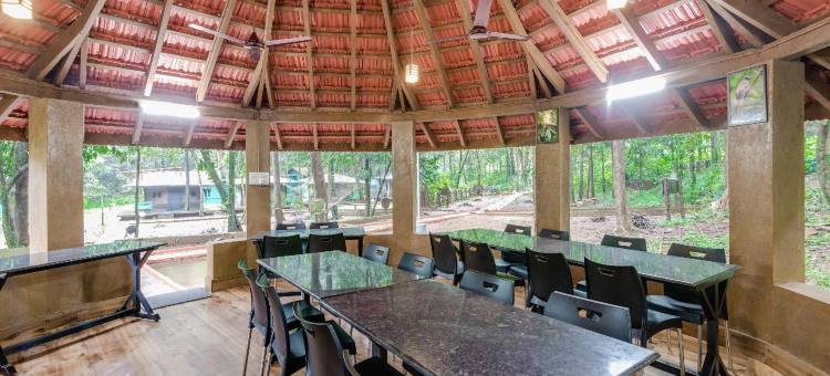 阿内贾里蝴蝶营-丛林度假酒店(Aanejari Butterfly Camp-Junglelodges)图片