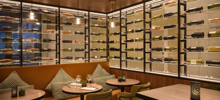 巴黎戴高乐机场凯悦嘉轩酒店(Hyatt Place Paris Charles de Gaulle Airport)图片