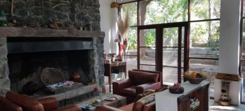 奥利弗旅馆(Posada del Olivo)图片