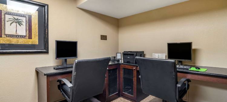 舒适酒店及套房-圣彼得堡-克利尔沃特国际机场(Comfort Inn & Suites St Pete - Clearwater International Airport)图片