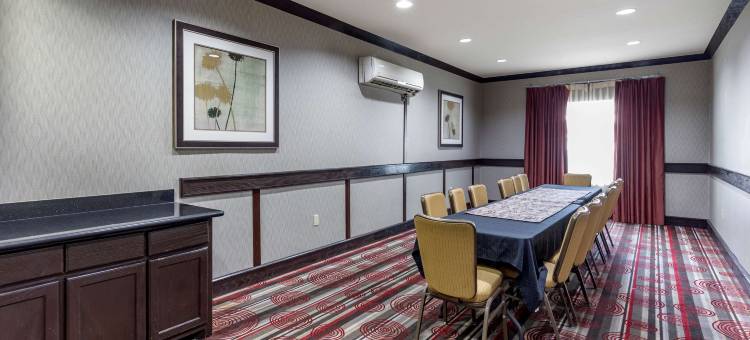 DFW机场西尤里斯贝斯特韦斯特优质酒店(Best Western Plus DFW Airport West Euless)图片