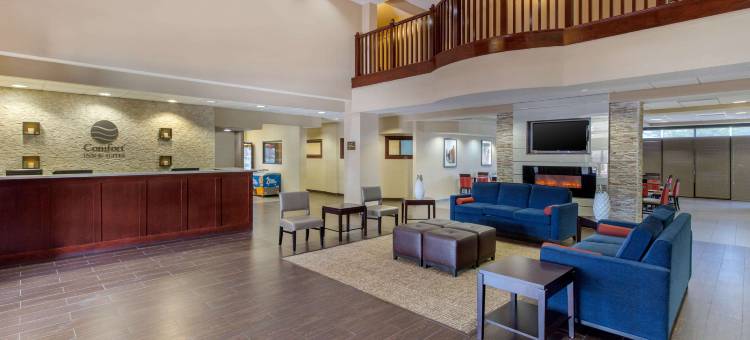 西南休斯顿舒格兰舒适套房酒店(Comfort Inn & Suites SW Houston Sugarland)图片