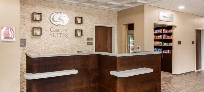 南奥斯汀舒适套房酒店(Comfort Suites - South Austin)图片