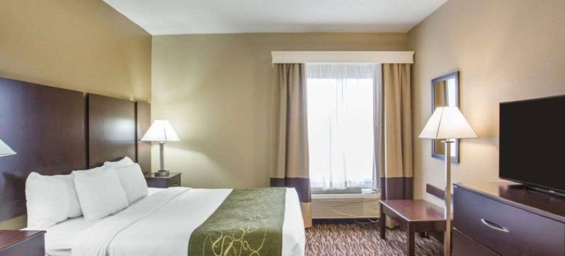 舒适套房酒店(Comfort Suites)图片