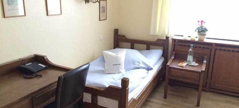 图图尼亚酒店(Teutonia Hotel)图片