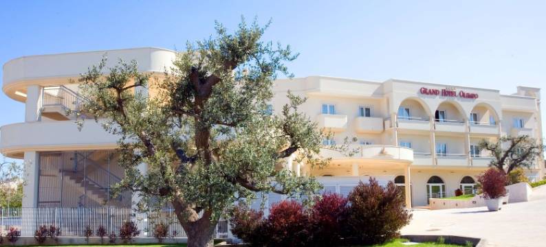 奥林波格兰德酒店(Grand Hotel Olimpo)图片