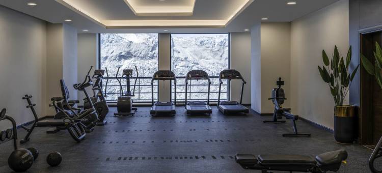 麦加 Thakher 市诺富特酒店(Novotel Makkah Thakher City)图片