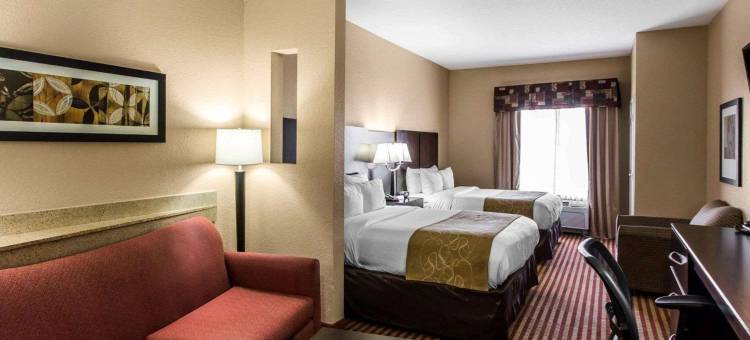 舒适套房酒店(Comfort Suites)图片