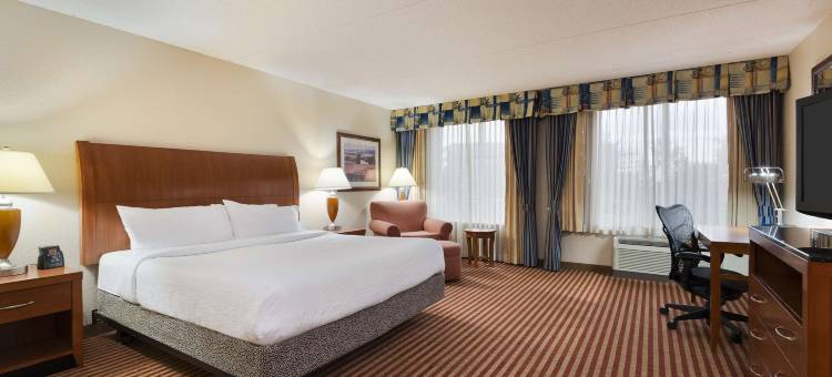 华盛顿哥伦比亚特区格林贝尔特希尔顿花园酒店(Hilton Garden Inn Washington DC/Greenbelt)图片