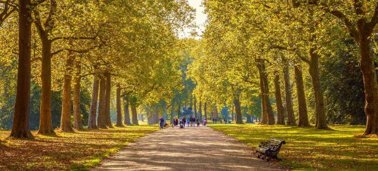 旅屋酒店-伦敦 市中心马里波恩(Travelodge London Central Marylebone)图片