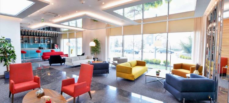 安卡拉因瑟克希尔顿逸林酒店(DoubleTree by Hilton Ankara Incek)图片