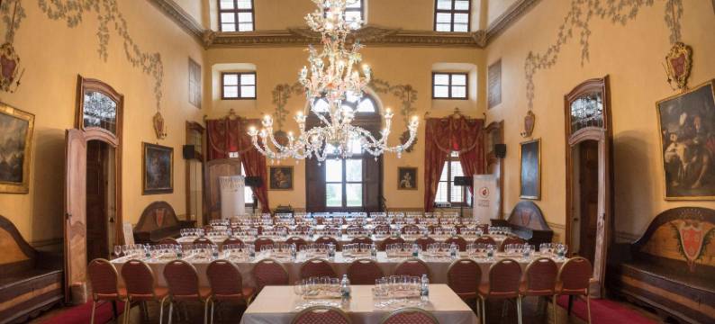 格雷内酒店(Castello di Guarene)图片