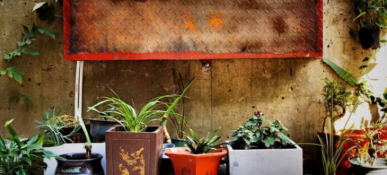 匡庐隐栖客服小姐姐公寓(慧远路分店)图片