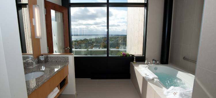 霍尔曼大酒店(The Holman Grand Hotel)图片