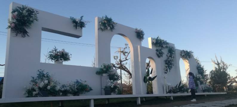 小象安居公寓(森林山大路分店)图片