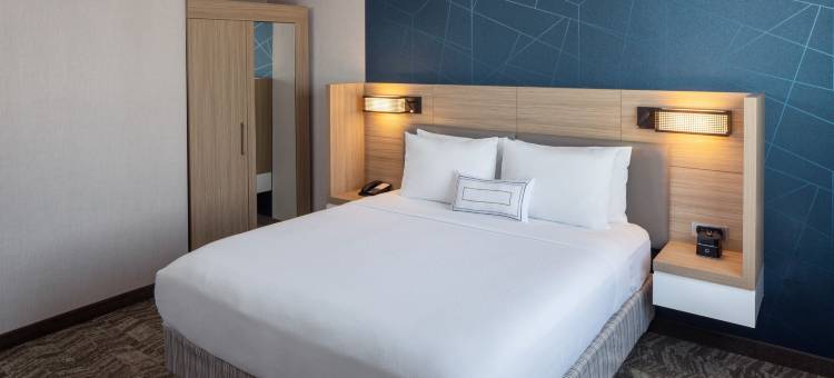 SpringHill Suites by Marriott New York JFK Airport/Jamaica图片