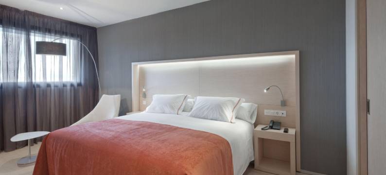 塞尔科蒂尔霍拉塔法拉酒店(Sercotel Hola Tafalla)图片