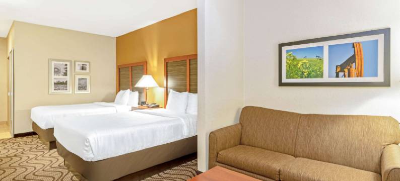 米德韦斯特城廷克空军基地拉昆塔温德姆套房酒店(La Quinta Inn & Suites by Wyndham Midwest City - Tinker AFB)图片