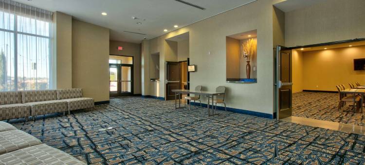 拉伯克西南拉昆塔温德姆套房酒店(La Quinta Inn & Suites by Wyndham Lubbock Southwest)图片