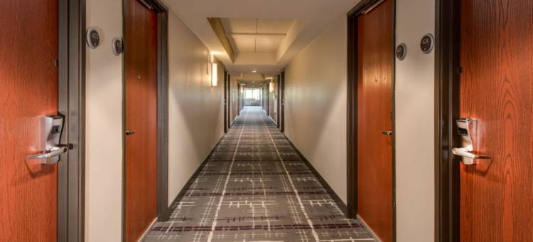 Crowne Plaza 密尔沃基机场 by IHG(Crowne Plaza Milwaukee Airport by IHG)图片