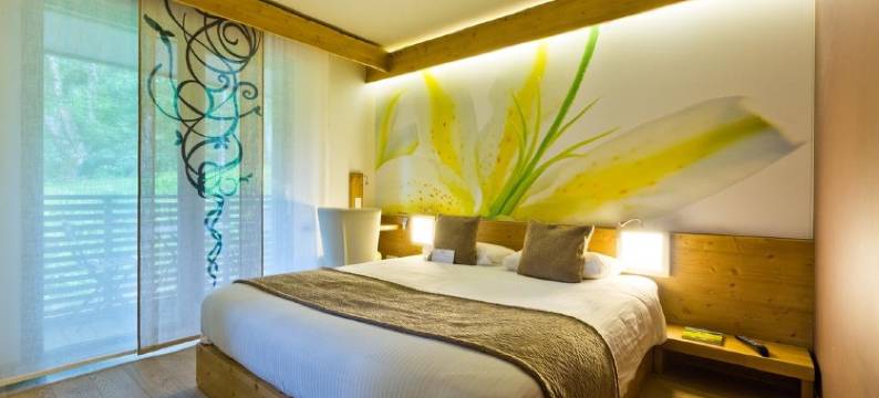 萨沃伊拉克罗伊克斯水疗酒店(La Croix de Savoie & Spa)图片