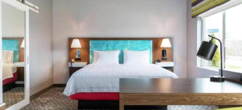 伊普西兰蒂欢朋套房酒店(Hampton Inn & Suites Ypsilanti)图片