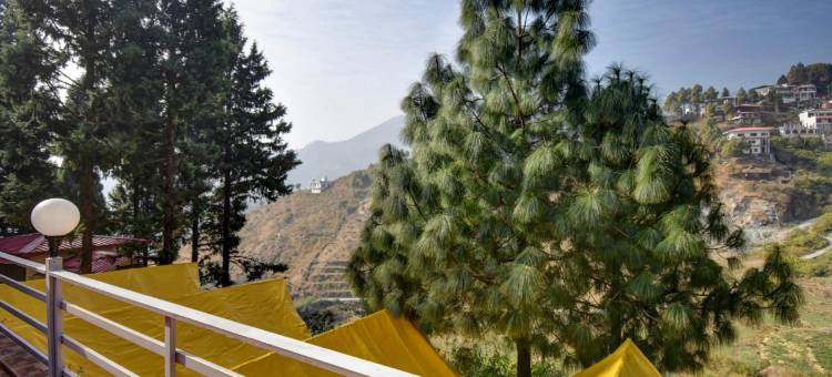 Hotel O Pine Tree图片