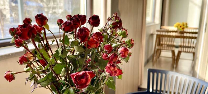 张晓凡公寓(少室路4号分店)图片