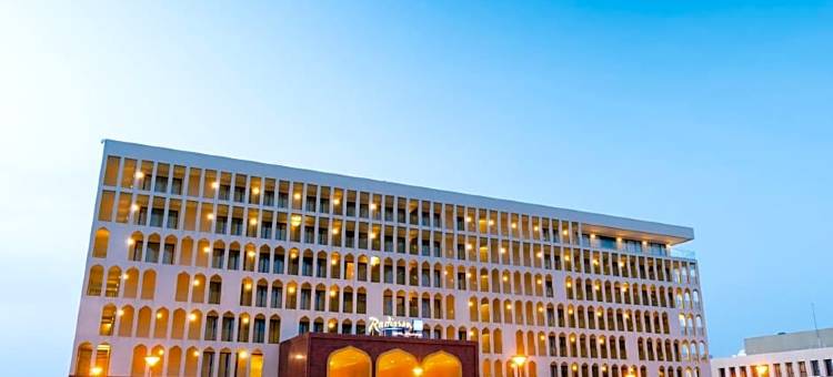 丽笙蓝标酒店-恩贾梅纳(Radisson Blu Hotel N'Djamena)图片