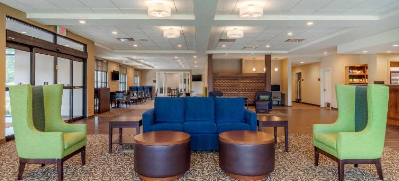 舒适套房旅馆(Comfort Inn & Suites)图片