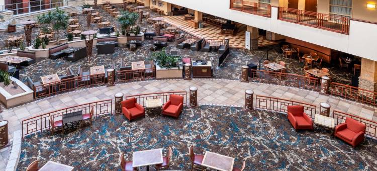 阿尔伯克基希尔顿安泊酒店(Embassy Suites by Hilton Albuquerque)图片