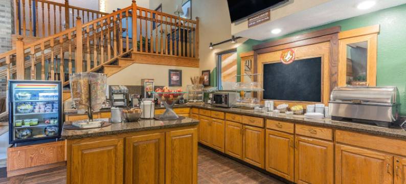 白熊湖圣保罗美吟温德姆酒店(AmericInn by Wyndham White Bear Lake St. Paul)图片