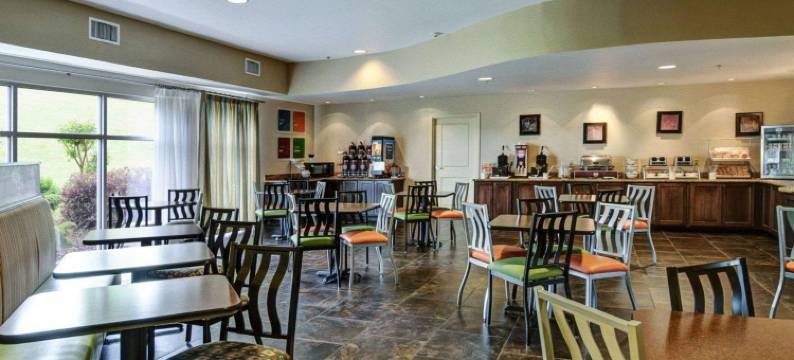 温泉城舒适套房酒店(Comfort Suites Near Hot Springs Park)图片