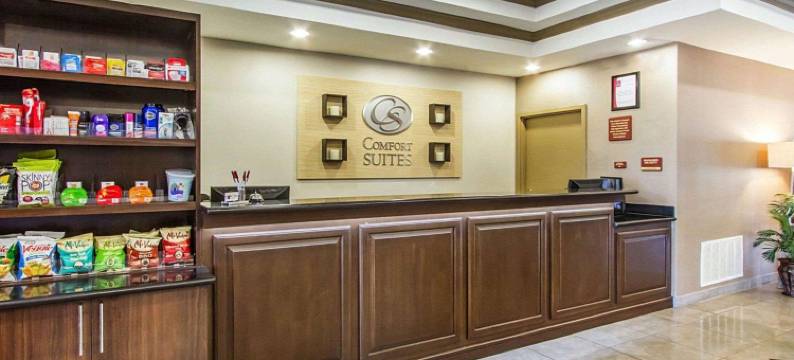 阿比林舒适套房酒店(Comfort Suites)图片