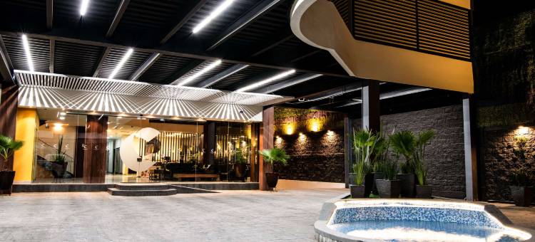 伊拉帕托舒适酒店(Comfort Inn Irapuato)图片