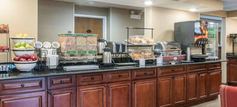 索格蒂斯舒适酒店(Comfort Inn)图片