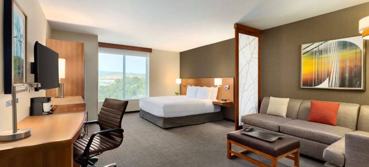 瓦卡维尔凯悦嘉轩酒店(Hyatt Place Vacaville)图片