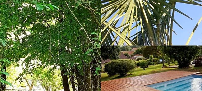 杜尔别墅酒店(Douvilla)图片