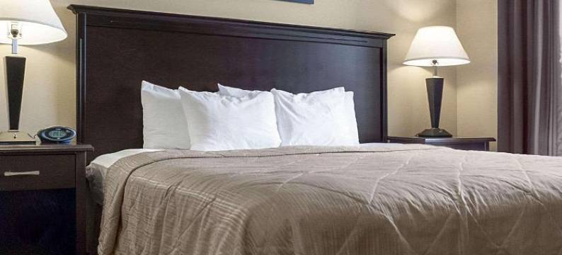 俾斯麦美茵斯坦套房酒店(MainStay Suites Bismarck)图片